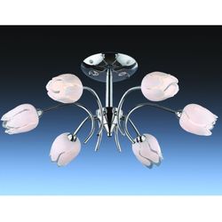 Потолочная люстра Odeon Light 1816/6
