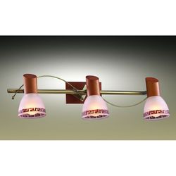 Спот на штанге Vario 1970/3W