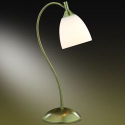 Настольная лампа интерьерная Grap 2060/1T