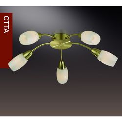 Потолочная люстра Odeon Light 2067/5C