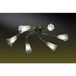 Потолочная люстра Odeon Light 2129/6C