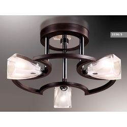 Потолочная люстра Odeon Light 2238/3
