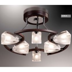 Потолочная люстра Odeon Light 2238/6