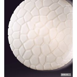 Настенно-потолочный светильник Luno 2246/1C