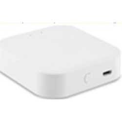 WI-FI конвертер для трековой системы Skyline 220 ST015.500.97