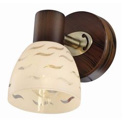 Спот Shayla TL3730Y-01BB