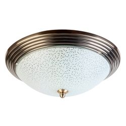 Потолочный светильник круглый Olive TL5030Y-02AB